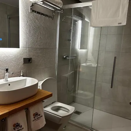 Hotel Miralrio